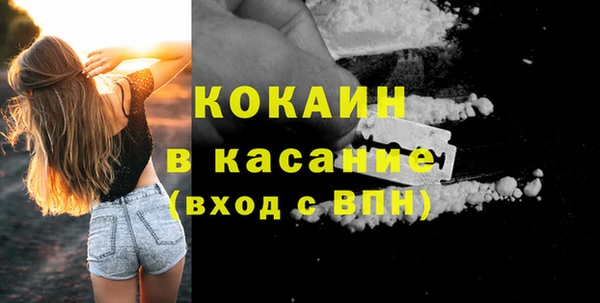 прущие грибы Туринск