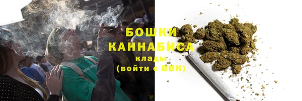 прущие грибы Туринск