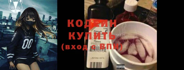 прущие грибы Туринск