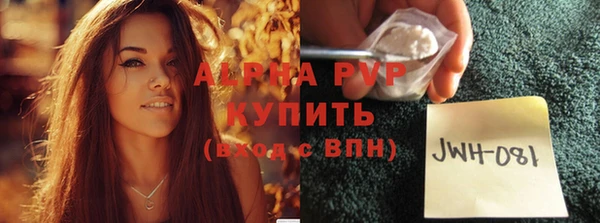 прущие грибы Туринск